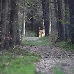 Prázdninový dům Auerhahn Ferienhaeuser Haus Tajo *