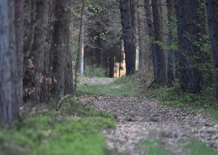 Prázdninový dům Auerhahn Ferienhaeuser Haus Tajo *